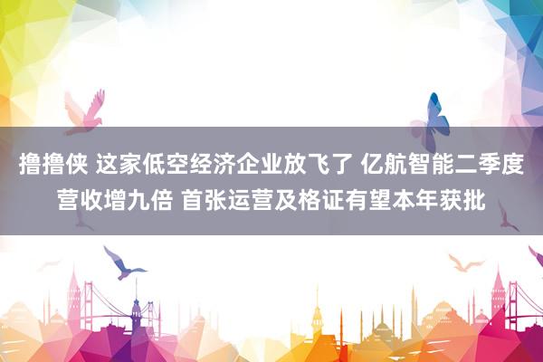 撸撸侠 这家低空经济企业放飞了 亿航智能二季度营收增九倍 首张运营及格证有望本年获批