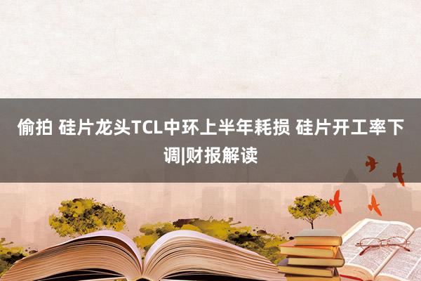 偷拍 硅片龙头TCL中环上半年耗损 硅片开工率下调|财报解读