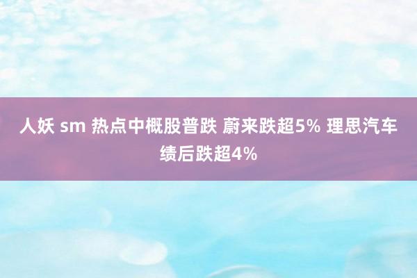 人妖 sm 热点中概股普跌 蔚来跌超5% 理思汽车绩后跌超4%
