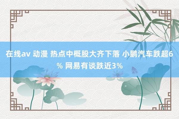 在线av 动漫 热点中概股大齐下落 小鹏汽车跌超6% 网易有谈跌近3%