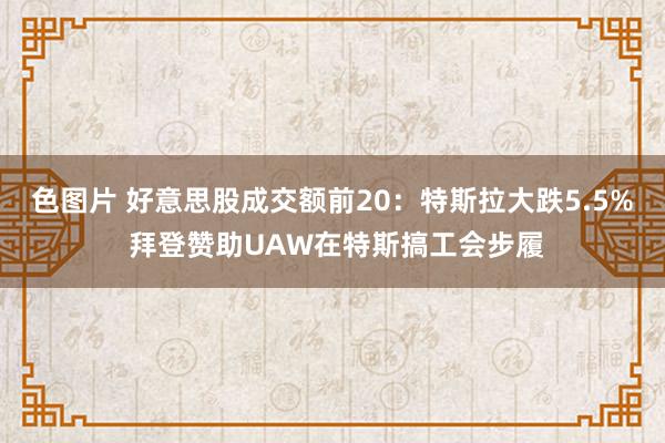 色图片 好意思股成交额前20：特斯拉大跌5.5% 拜登赞助UAW在特斯搞工会步履