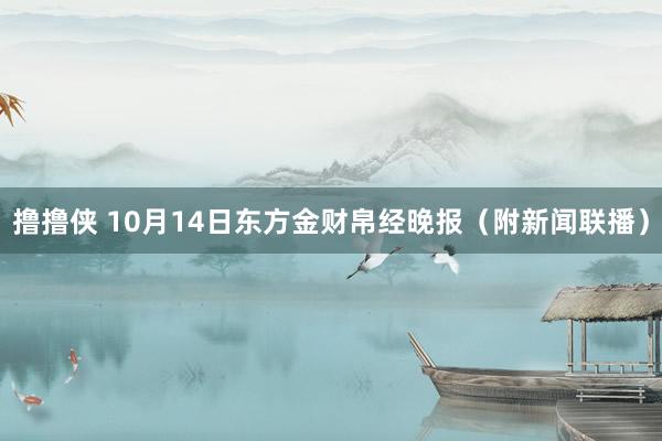 撸撸侠 10月14日东方金财帛经晚报（附新闻联播）