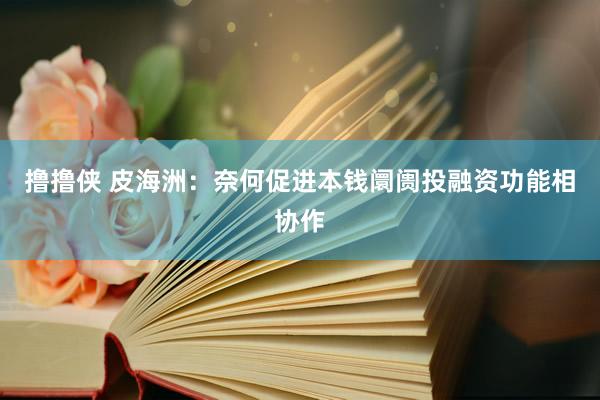 撸撸侠 皮海洲：奈何促进本钱阛阓投融资功能相协作