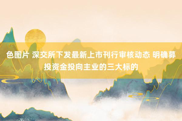 色图片 深交所下发最新上市刊行审核动态 明确募投资金投向主业的三大标的