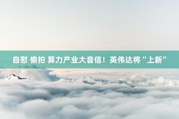 自慰 偷拍 算力产业大音信！英伟达将“上新”