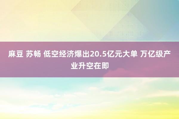 麻豆 苏畅 低空经济爆出20.5亿元大单 万亿级产业升空在即