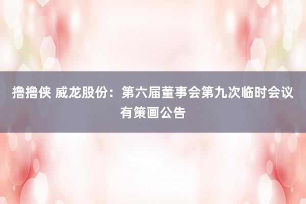 撸撸侠 威龙股份：第六届董事会第九次临时会议有策画公告