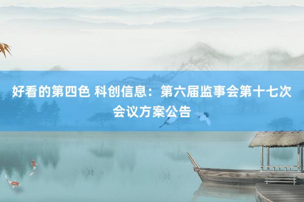 好看的第四色 科创信息：第六届监事会第十七次会议方案公告