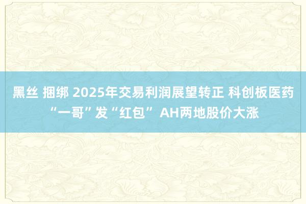 黑丝 捆绑 2025年交易利润展望转正 科创板医药“一哥”发“红包” AH两地股价大涨