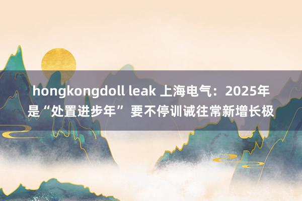 hongkongdoll leak 上海电气：2025年是“处置进步年” 要不停训诫往常新增长极