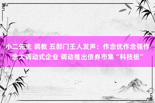 小二先生 调教 五部门王人发声：作念优作念强作念大调动式企业 调动推出债券市集“科技板”