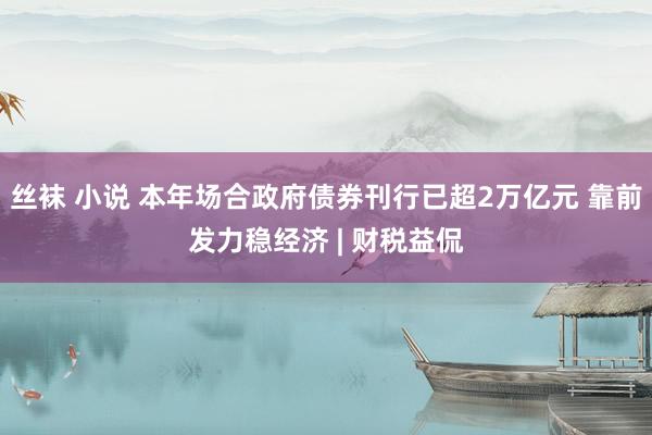 丝袜 小说 本年场合政府债券刊行已超2万亿元 靠前发力稳经济 | 财税益侃